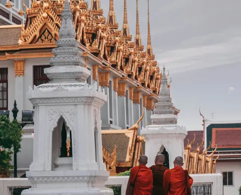 travel agent for kerala trip